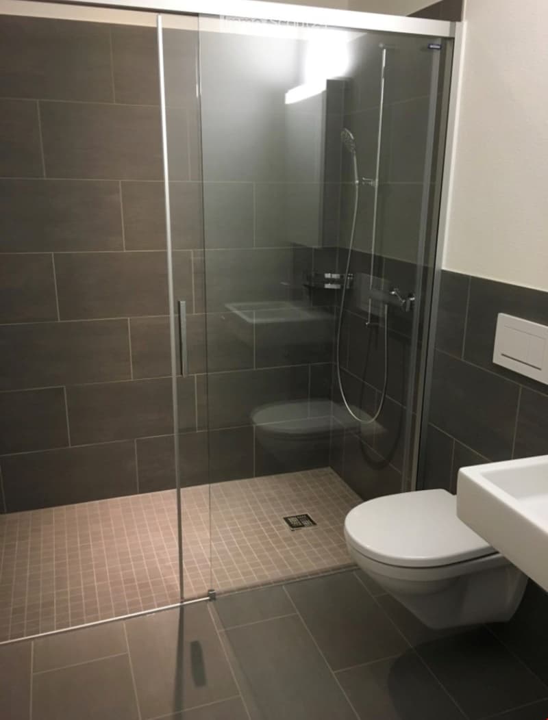 Modern bathroom with dark tiled walls, a glass-enclosed shower, a toilet, and a sink.
