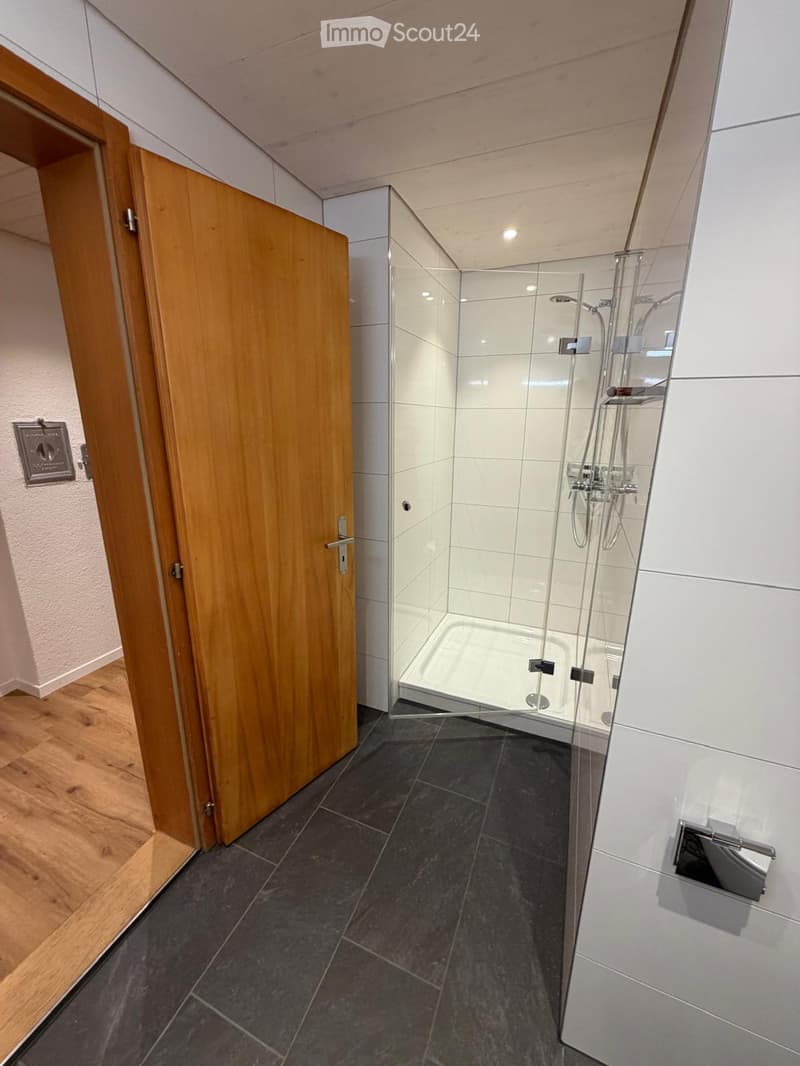 Modern bathroom with a glass-enclosed shower, dark tiled floor, and wooden door leading to the room.