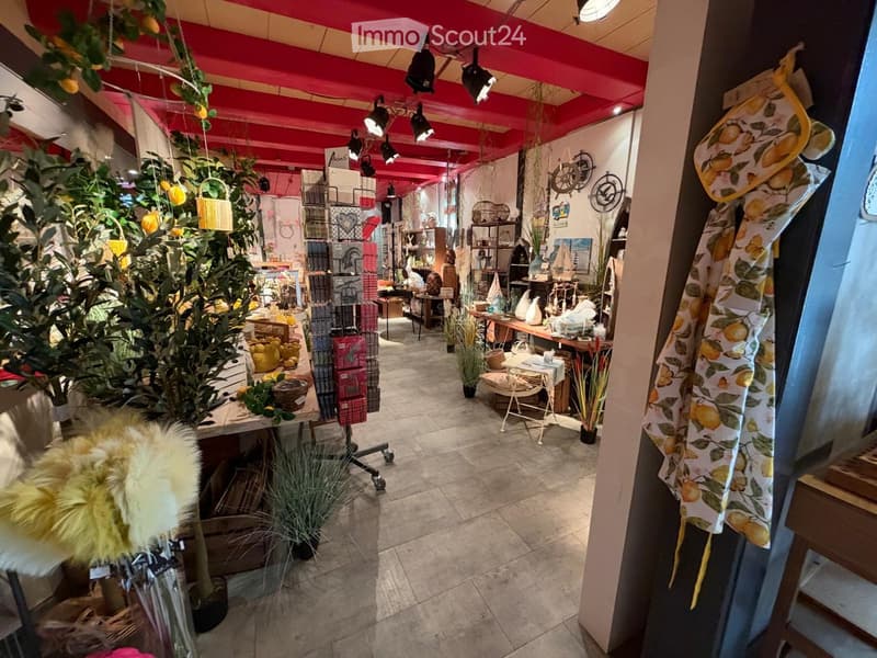 A well-lit interior space with a red ceiling, tiled floor, and various decorative items including a large furry pillow, baskets, vases, shelves with books and artwork, and hanging plants.
