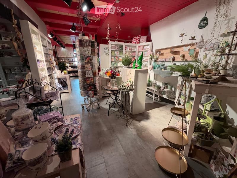 A well-lit interior space with a red ceiling and white walls, filled with various decorative items including shelves, tables, chairs, vases, pots, and birdcages.