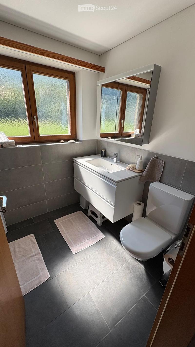 Modern bathroom with a white sink, toilet, large mirror, and two towels on the floor. The room features dark grey tiles and wooden window frames.