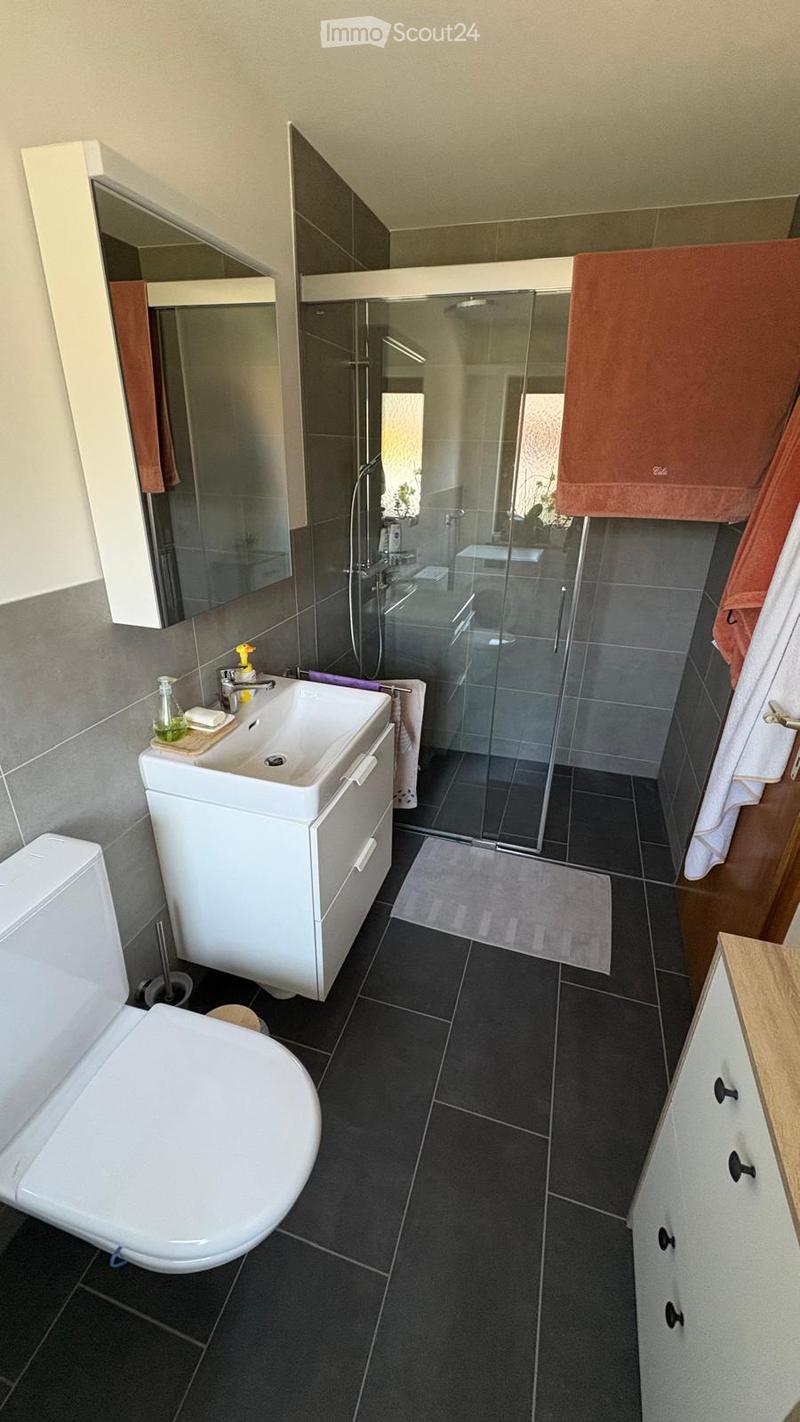 Modern bathroom with dark tiled floor, white sink, toilet, large mirror, and glass-enclosed shower. Towels are neatly hung on the side.