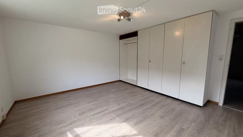 Empty room with white walls, wooden flooring, built-in white closet, and a ceiling light fixture.