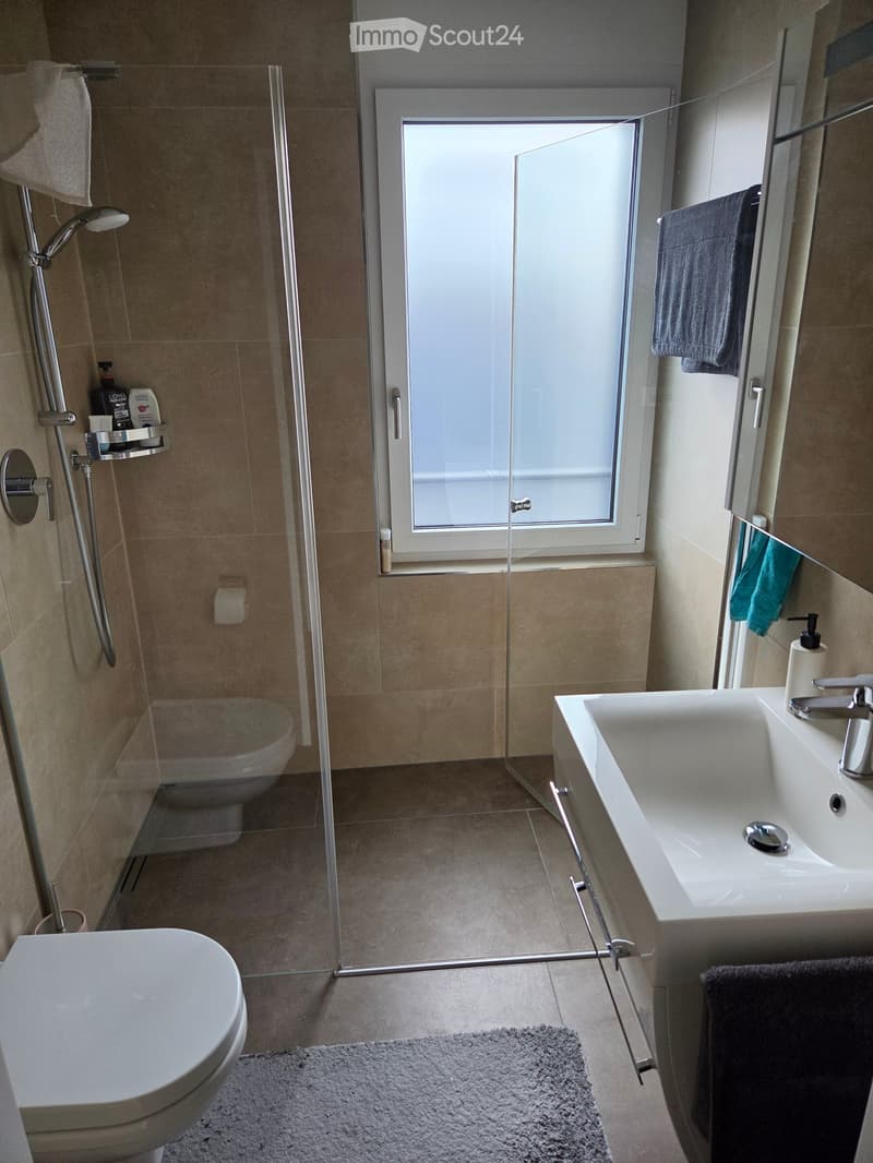 Modern bathroom with a white sink, toilet, glass-enclosed shower, and a window providing natural light. Includes towels, a soap dispenser, and a small shelf with toiletries.