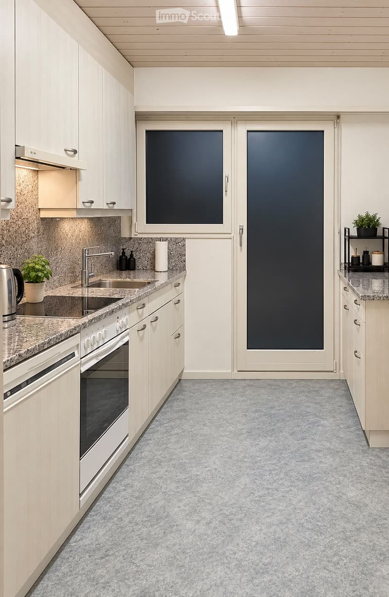 Modern kitchen with white cabinets, granite countertops, built-in oven, sink, and small potted plant on the counter.