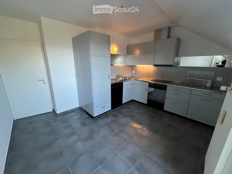 Modern kitchen with grey cabinets, dark tiled floor, sink, oven, and dishwasher.