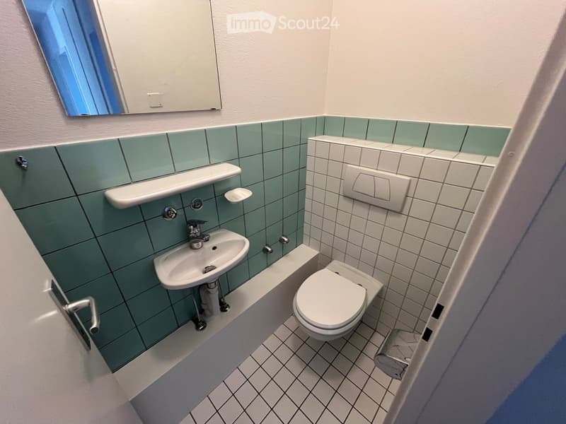 Modern bathroom with a white sink, toilet, and mirror. Green tiles on one wall, white tiles on the other, and a towel rack visible.