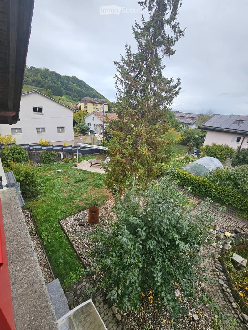 A lush garden area with a mix of grass, gravel paths, and various plants, including a prominent tree. There is a small wooden bench, a metal barrel, and a greenhouse structure visible.