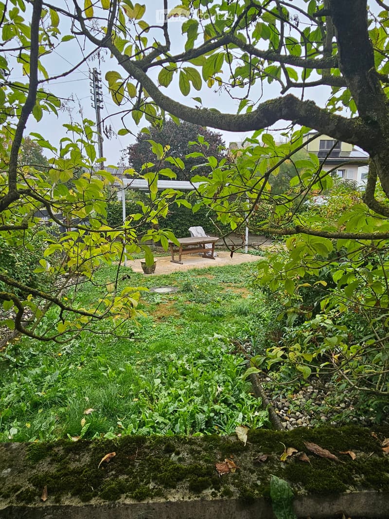 A lush garden with dense greenery, a wooden bench, and a covered outdoor area in the background.