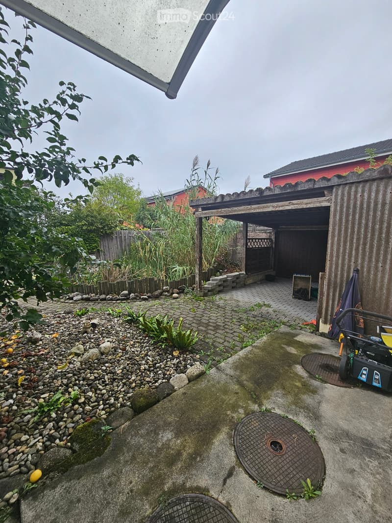 Garden area with a paved pathway, small shed, and various plants and rocks.