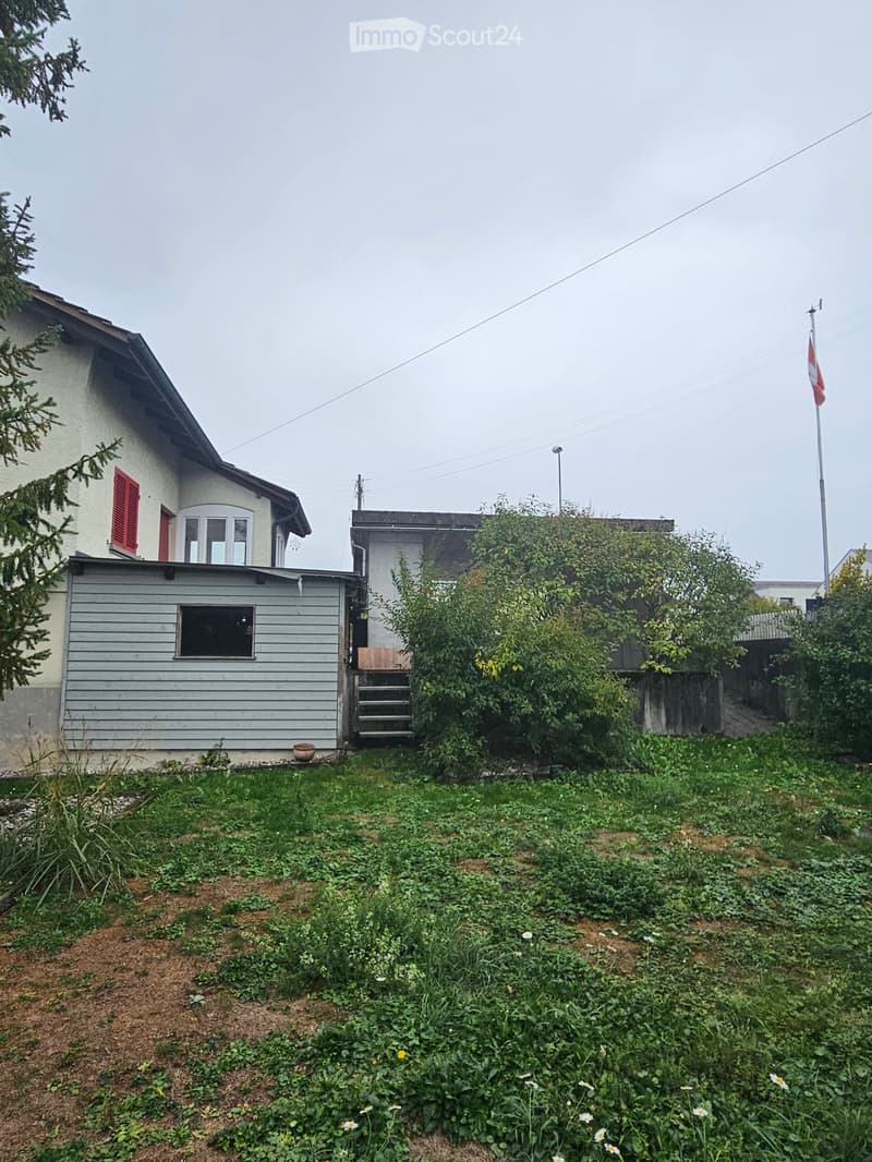 A garden area with overgrown vegetation, a small shed, and a house with red shutters and a grey exterior in the background.