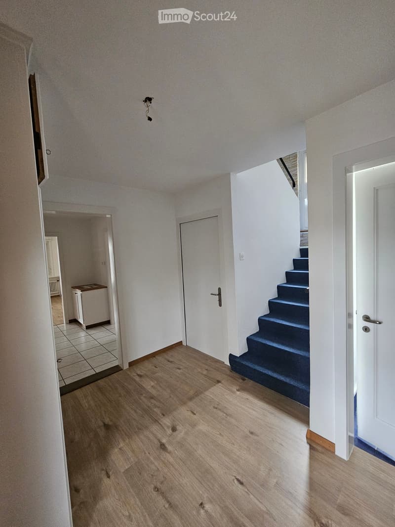 Empty hallway with wooden flooring, white walls, and a staircase leading upwards with blue carpeted steps.