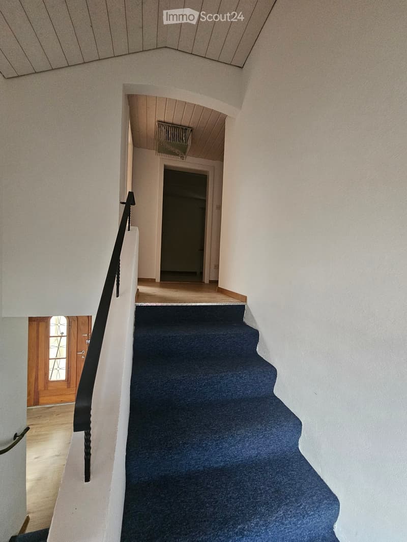 Staircase with blue carpeted steps, white walls, wooden handrail, and a wooden door with glass panel visible at the bottom.