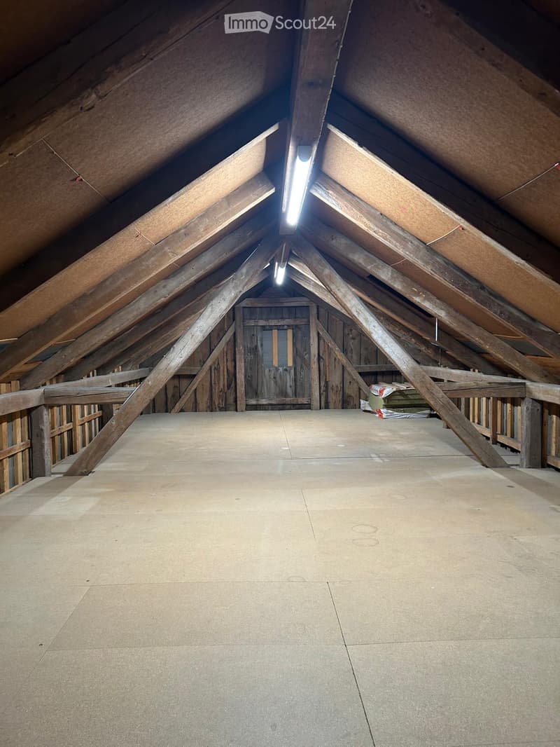 Empty attic space with exposed wooden beams, concrete floor, and a small wooden door at the far end.
