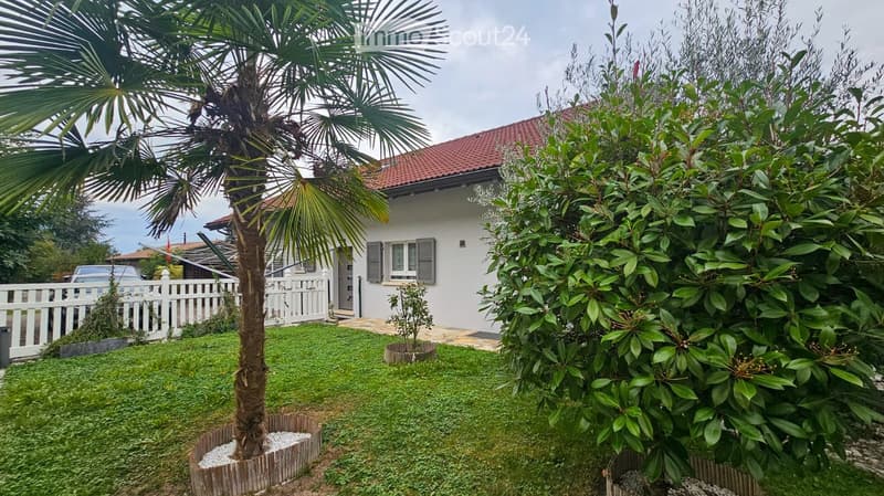 A well-maintained garden with a palm tree, neatly trimmed grass, and a white picket fence surrounding the property. The house in the background has a red-tiled roof and white exterior walls.