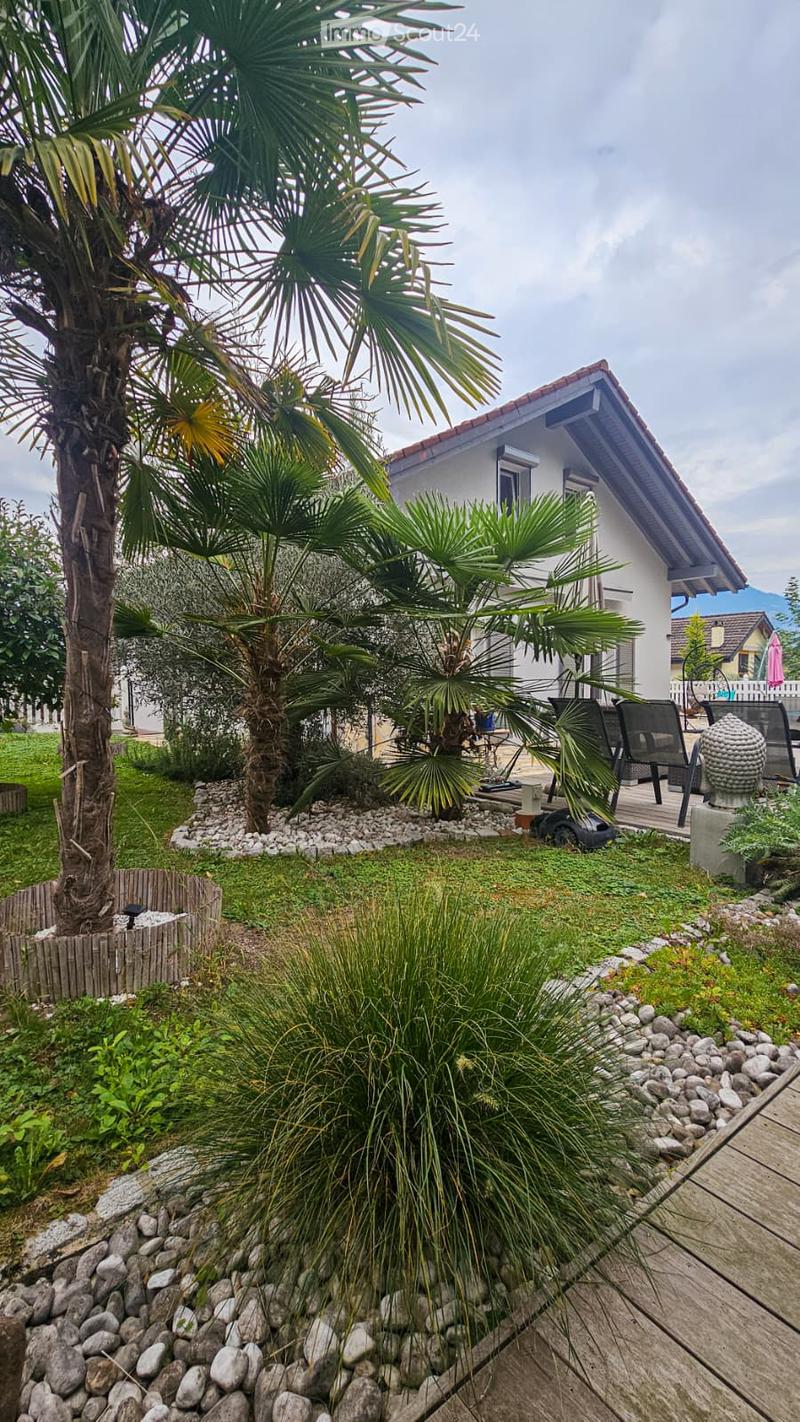 A well-maintained garden with palm trees, a wooden deck, and a small seating area near the house.