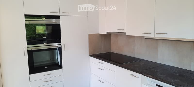 Modern kitchen with white cabinets, stainless steel oven, induction stove, and dishwasher.