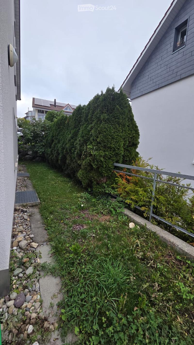 A narrow, sloped garden area with a concrete pathway bordered by rocks, small plants, and tall evergreen trees. A metal railing is visible on the right side, and a house is partially seen on the left.