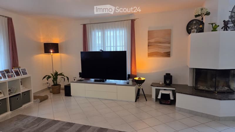 Modern living room with a fireplace, television, floor lamp, plant, and decorative items on shelves.