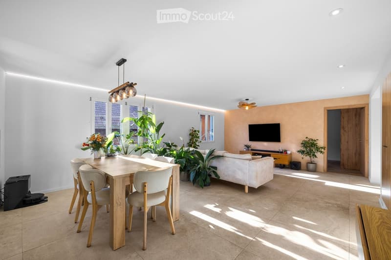 Open-plan living and dining area with a white sofa, wooden dining table with chairs, television, potted plants, and a ceiling fan.
