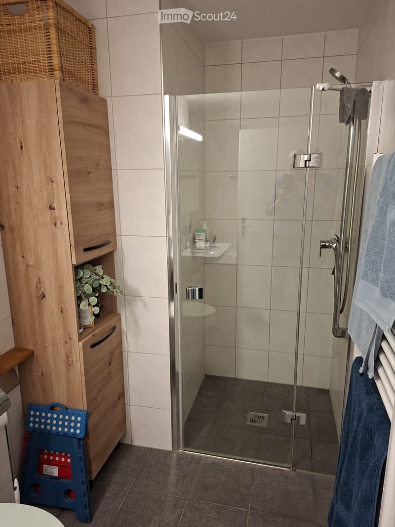 Modern bathroom with a glass-enclosed shower, wooden cabinet, and towels on a radiator.