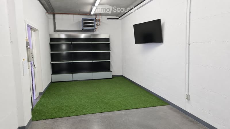 A small, modern room with white walls, a green artificial turf floor, built-in black and grey shelving unit, and a mounted flat-screen screen on the wall.
