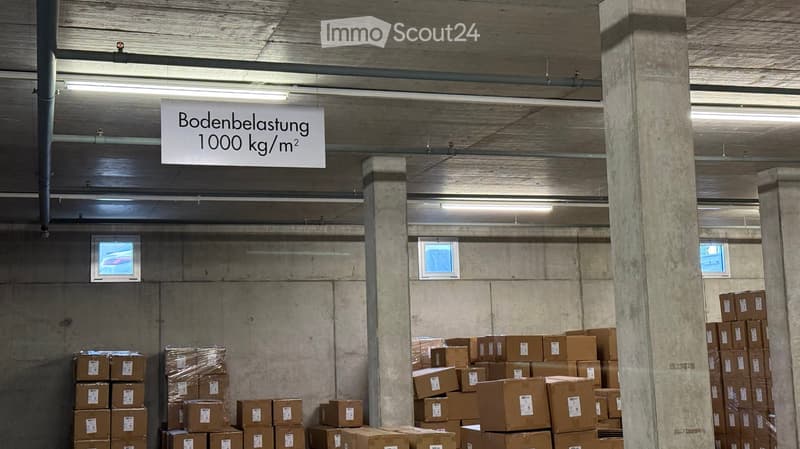 Warehouse space with concrete pillars, fluorescent lighting, and stacks of cardboard boxes. A sign indicates a floor load limit of 1000 kg/m².