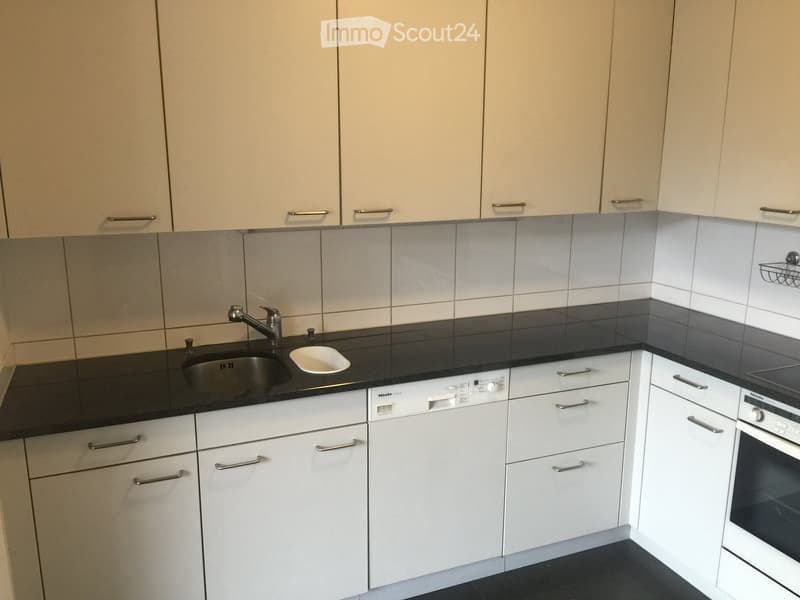 Modern kitchen with white cabinets, black countertops, stainless steel sink, dishwasher, and oven.