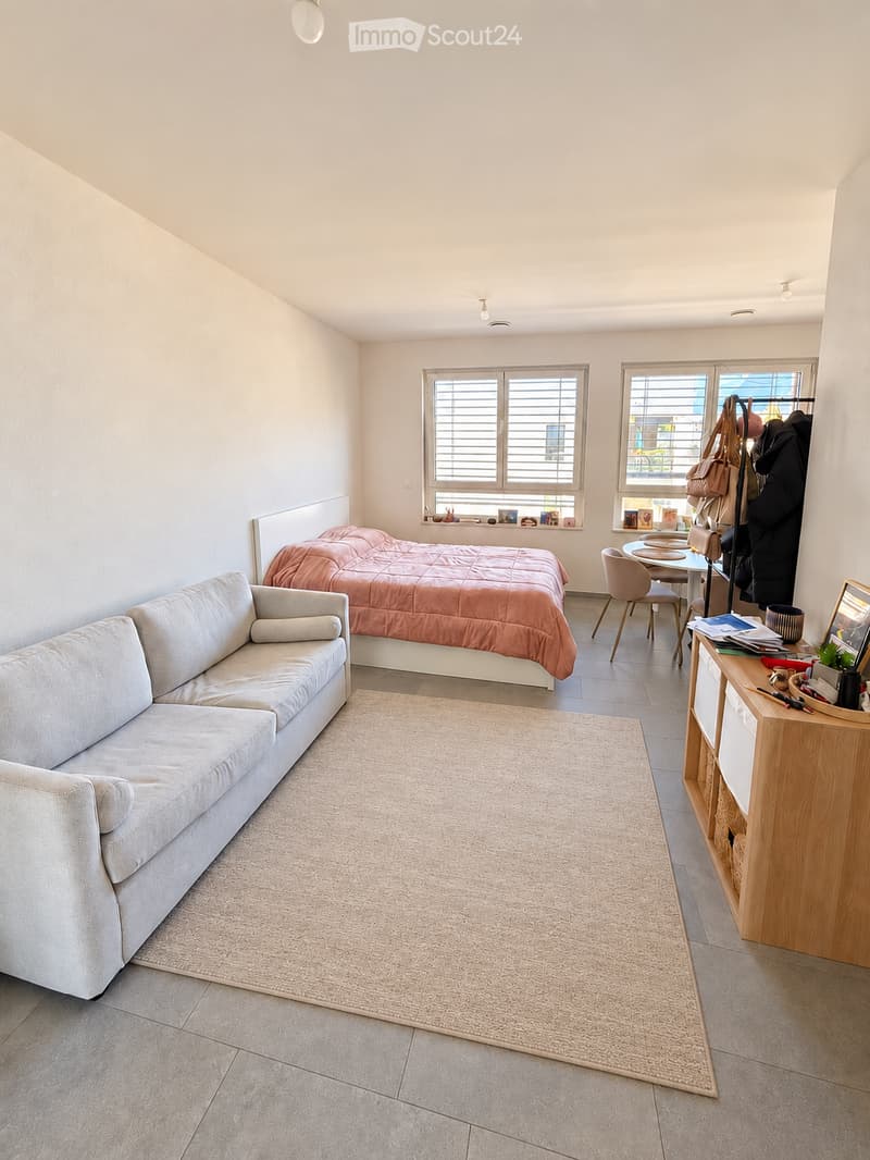 A modern, open-concept living and bedroom space with a white sofa, a bed with pink bedding, a small dining table with chairs, a wooden cabinet, and a large area rug.