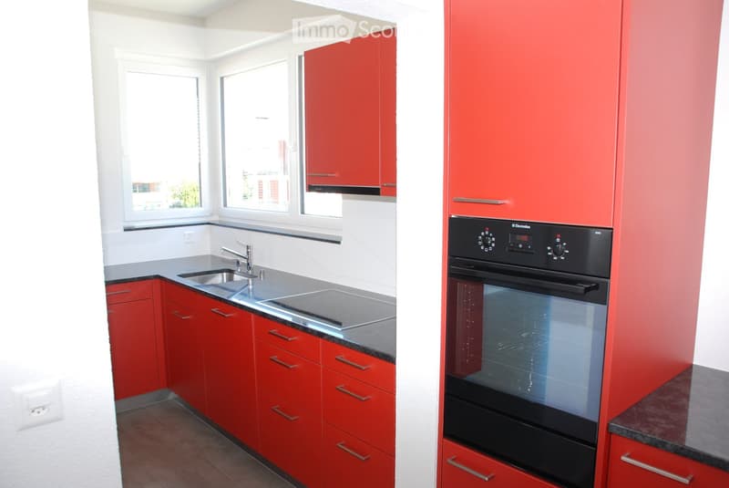 Modern kitchen with red cabinets, stainless steel sink, and built-in oven.