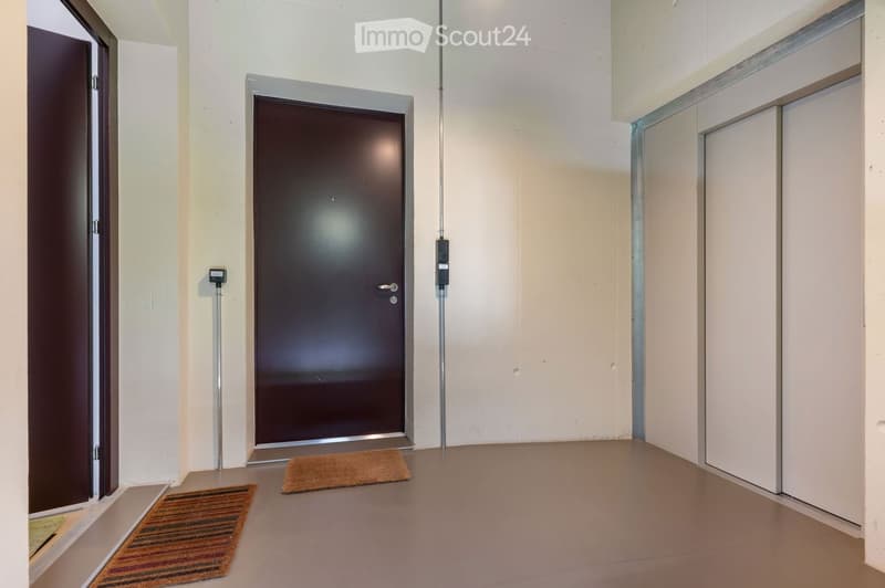 Empty hallway with light-colored walls, a dark brown door, and two small doormats placed near the entrance.