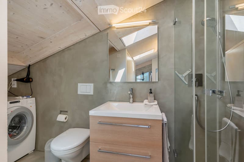 Modern bathroom with a wooden ceiling, grey walls, a white sink with a mirror, a toilet, a shower with glass enclosure, and a washing machine. Features include a towel, a light fixture, and a hair dryer.