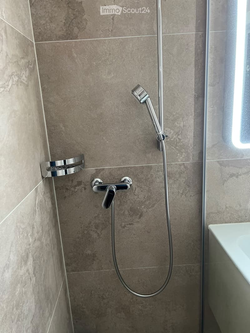 Modern bathroom shower area with a handheld showerhead, control valve, and a built-in shower rail.
