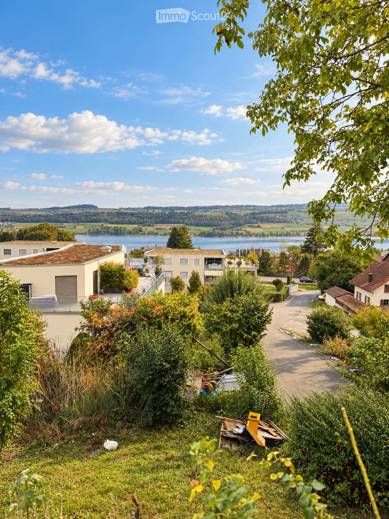 Einfamilienhaus mit See- und Bergsicht in Beinwil am See (1)