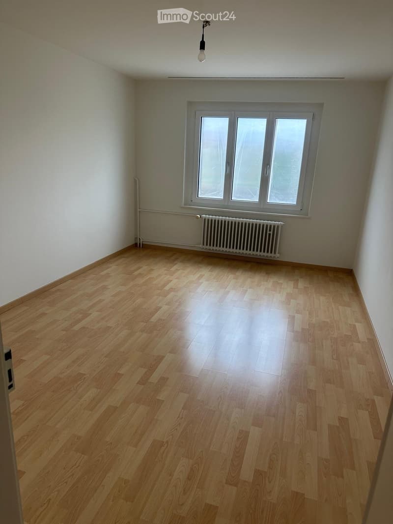 Empty room with wooden flooring, white walls, a window with three panes, a radiator, and a single hanging light fixture.