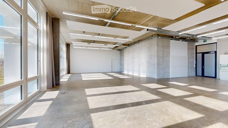 Empty room with exposed concrete walls, large windows, and industrial-style lighting. No furniture or equipment present.