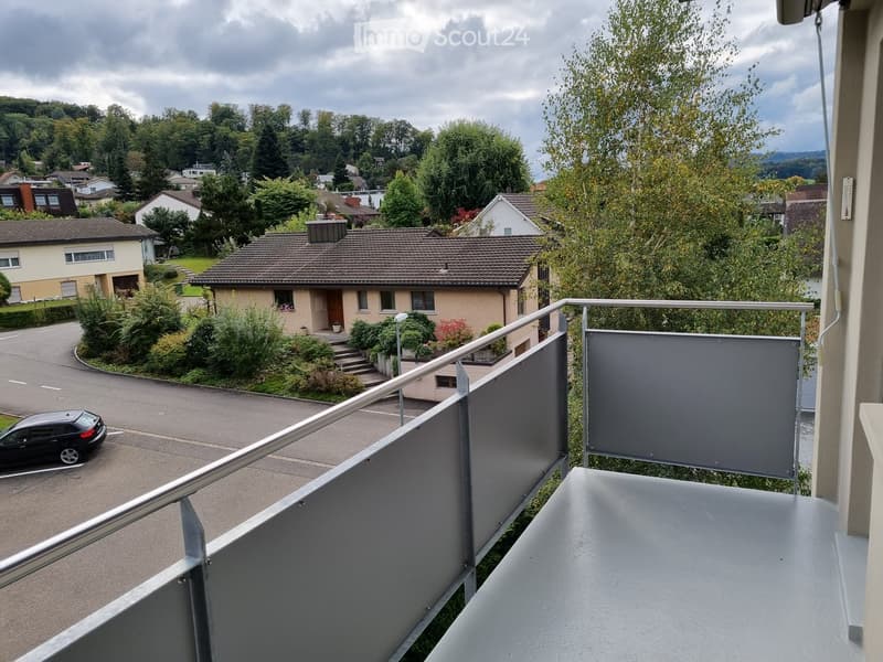 Balcony with metal railing overlooking a residential street with houses, trees, and a parked car.