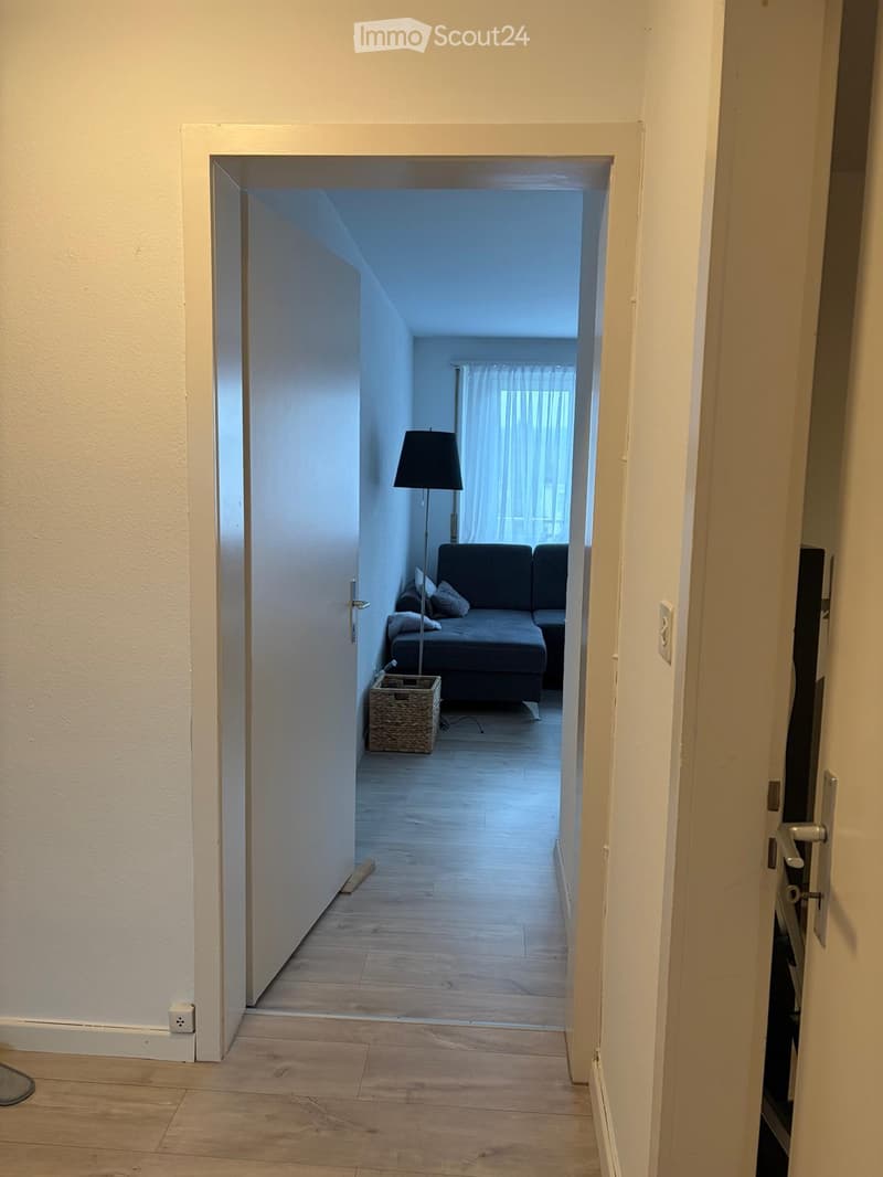 A narrow hallway with light wooden flooring leads to a living room area featuring a dark grey sofa, a floor lamp, and a woven basket on the floor.