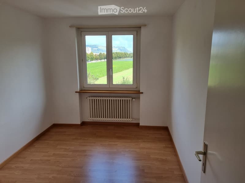 Empty room with wooden flooring, white walls, a window with a view of a green field, and a radiator below the window.