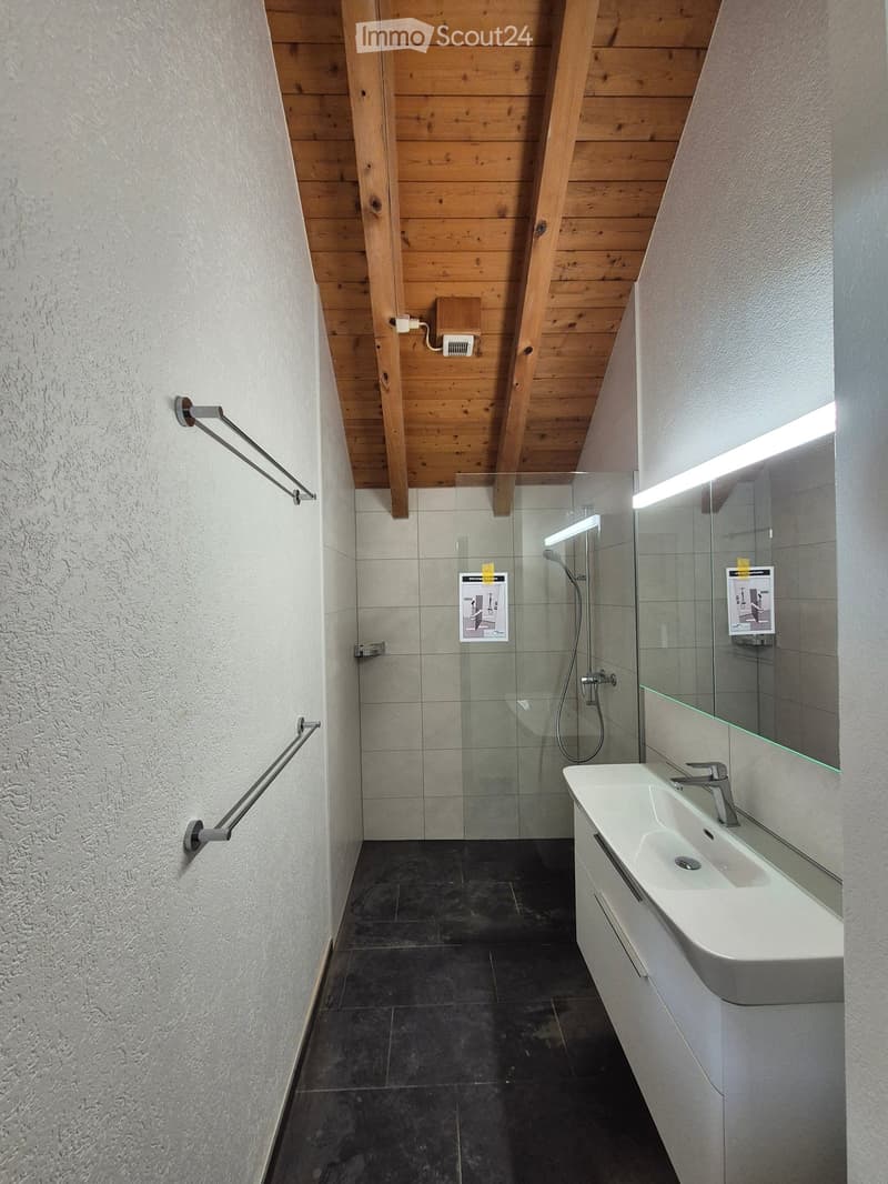 Modern bathroom with dark tiled floor, white sink, mirror, glass shower enclosure, and handrails on walls.