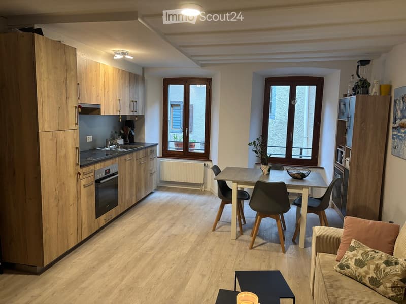 A modern, open-plan living and dining area with wooden flooring, a sofa, a dining table with chairs, a kitchen area with cabinets, an oven, a sink, and a refrigerator. There are also decorative items like a potted plant and a blender on the counter.