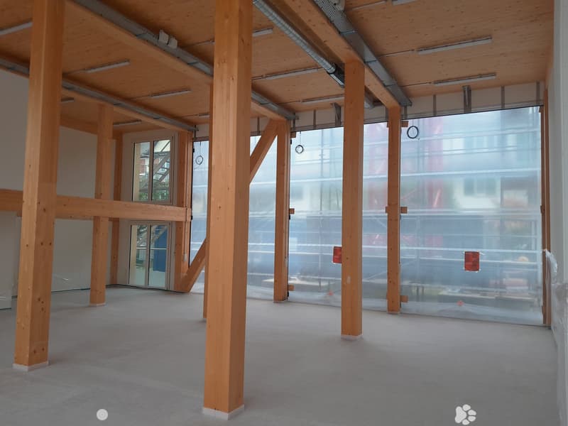 Empty room with wooden beams and pillars, large glass windows, and a carpeted floor.