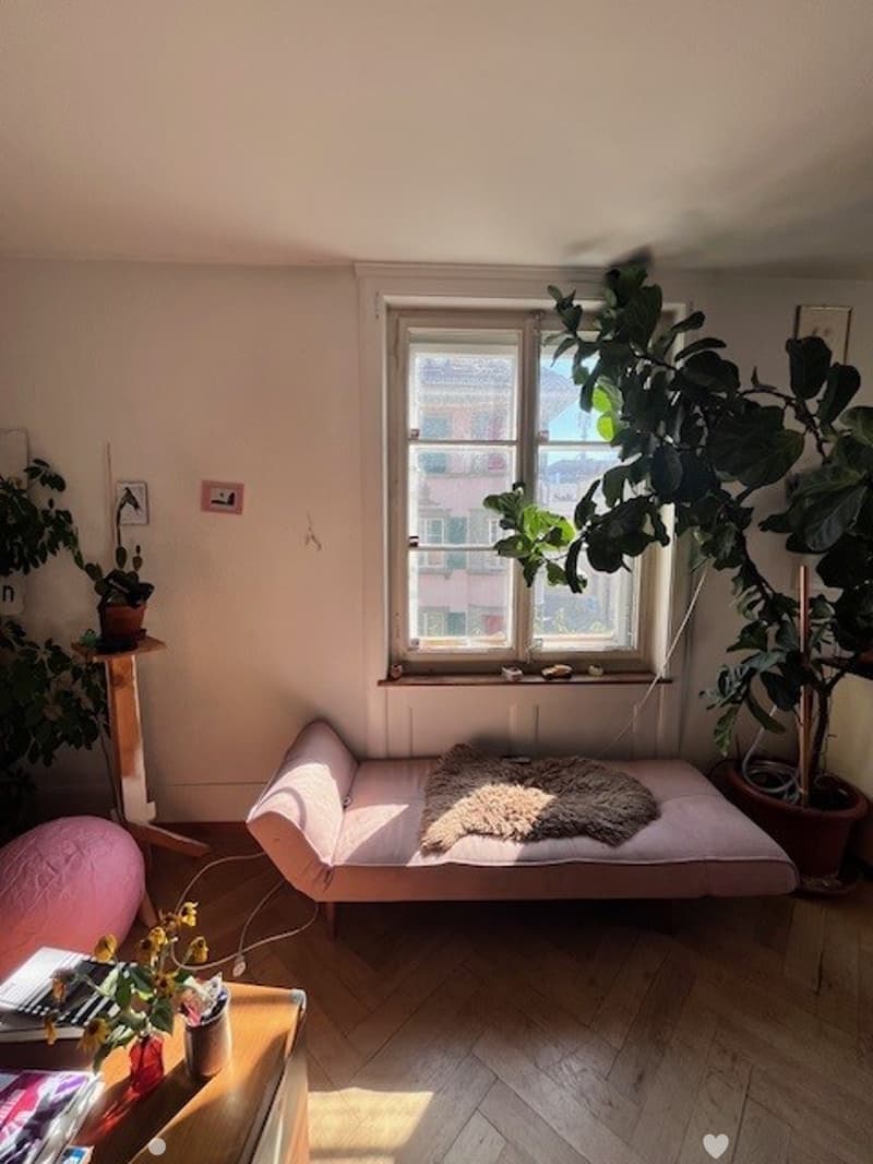 Cozy living room with a daybed sofa, throw blanket, small table with potted plants, and books on the floor. Large window with a view of neighboring buildings.