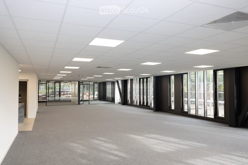 Empty, unfurnished room with carpeted floor, white walls, and large glass windows allowing natural light. The ceiling features recessed lighting panels.