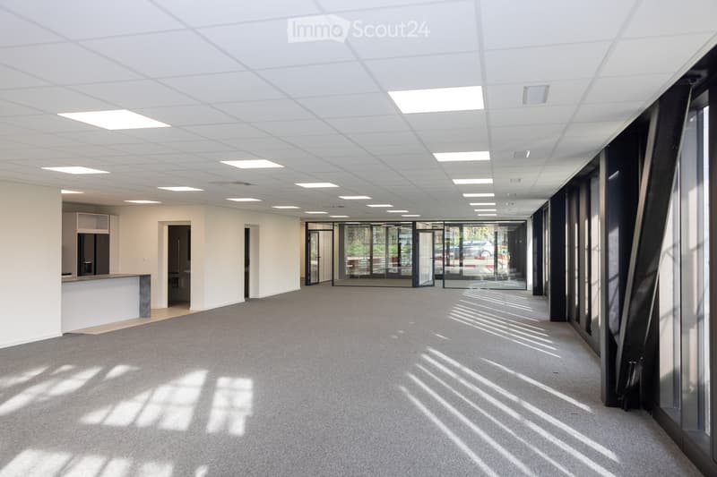 Bright, modern hallway with white walls, carpeted floor, and large glass doors leading outside. Features a reception area on the left and multiple doors along the corridor.