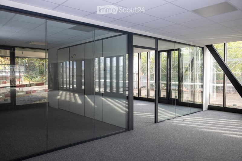 Empty room with glass partitions and large windows, carpeted floor, and white ceiling.
