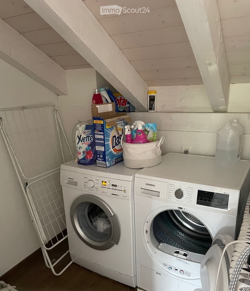 Laundry area with a washing machine, dryer, and various cleaning supplies on top.