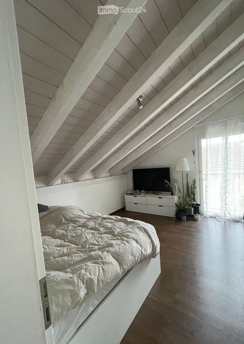 Modern attic bedroom with wooden slanted ceilings, a large bed, a TV on a white cabinet, a floor lamp, and potted plants near the window.