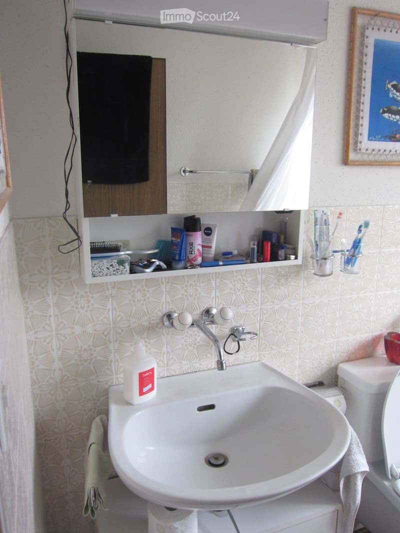 Bathroom with a white sink, faucet, mirror, and various toiletries on shelves. A towel hangs on the side, and a toilet is partially visible.