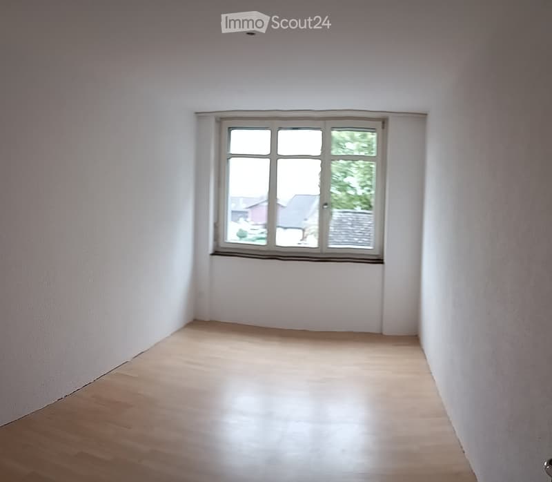 Empty room with light wooden flooring and white walls, featuring a single window with multiple panes.